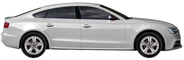   Audi S5 8, B81 Sportback 3.0 TFSI Quattro 2011-2024 ..