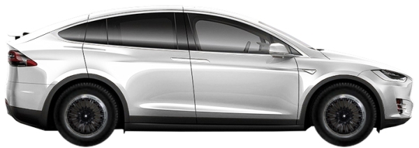   Tesla Model X 002 SUV 100D 2015-2025 ..