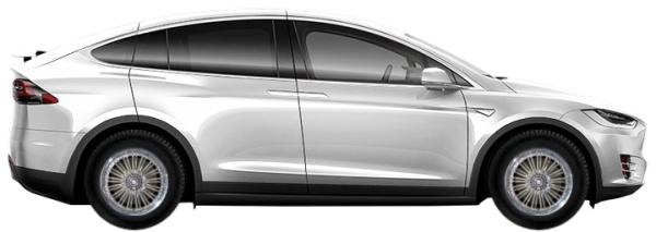   Tesla Model X 002 SUV 100D 2015-2025 ..