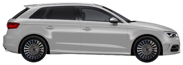   Audi S3 8V Sportback 5d 2.0 TFSI Quattro 2013-2016 ..