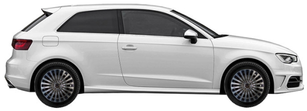   Audi S3 8V Hatchback 3d 2.0 TFSI Quattro 2013-2016 ..