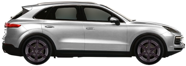   Porsche Cayenne 9Y 2.9 V6 S 2018-2023 ..