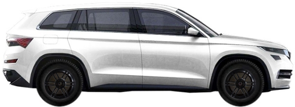   Skoda Kodiaq NS 1.4 TSI 2016-2024 ..