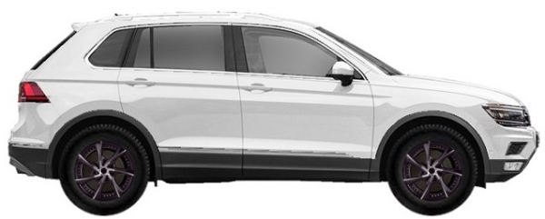   Volkswagen Tiguan II (MQB) 1.4 TSI 2017-2025 ..