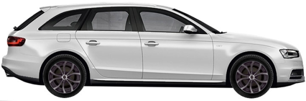   Audi S4 B8(B81) Avant 3.0 TFSI Quattro 2009-2011 ..