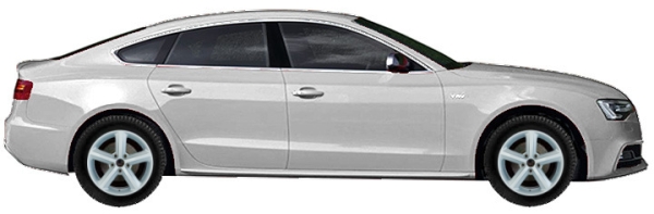   Audi S5 8, B81 Sportback 3.0 TFSI Quattro 2011-2024 ..