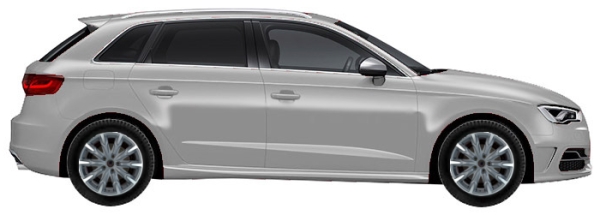   Audi S3 8V Sportback 5d 2.0 TFSI Quattro 2013-2016 ..