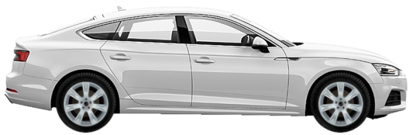   Audi S5 F5 Sportback 3.0 TFSI Quattro 2017-2020 ..