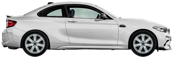   BMW M2 F87N Coupe 3.0 Competition 2020-2021 ..