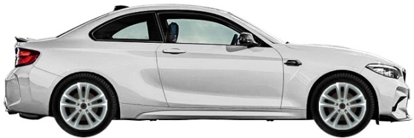   BMW M2 F87N Coupe 3.0 Competition 2020-2021 ..