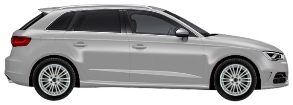   Audi S3 8V Sportback 5d 2.0 TFSI Quattro 2013-2016 ..