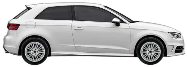   Audi S3 8V Hatchback 3d 2.0 TFSI Quattro 2013-2016 ..