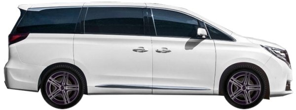   Gac GN8 MPV 2.0 T 2020-2023 ..