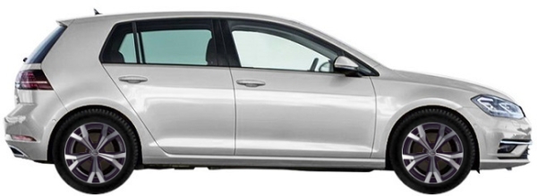   Volkswagen Golf VII AU Hatchback 5d 1.4 TSI (125 hp) 2018-2019 ..