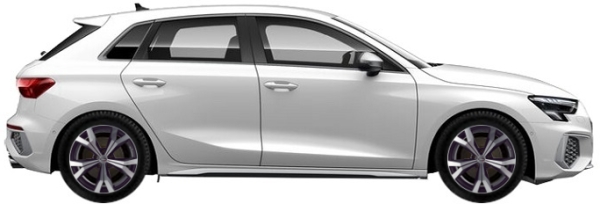   Audi S3 8Y Sportback 2.0 TFSI Quattro 2021-2025 ..