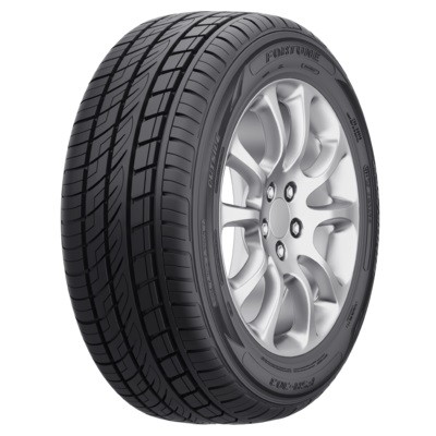 Fortune FSR-303 225/55 R19 103W XL