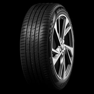 Gislaved ActiveControl 225/55 R17 97W FR